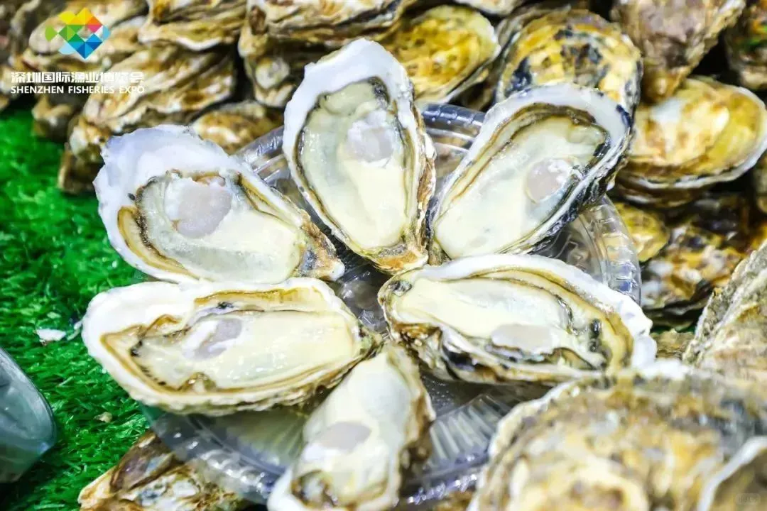 2025深圳国际渔业博览会即将开幕！