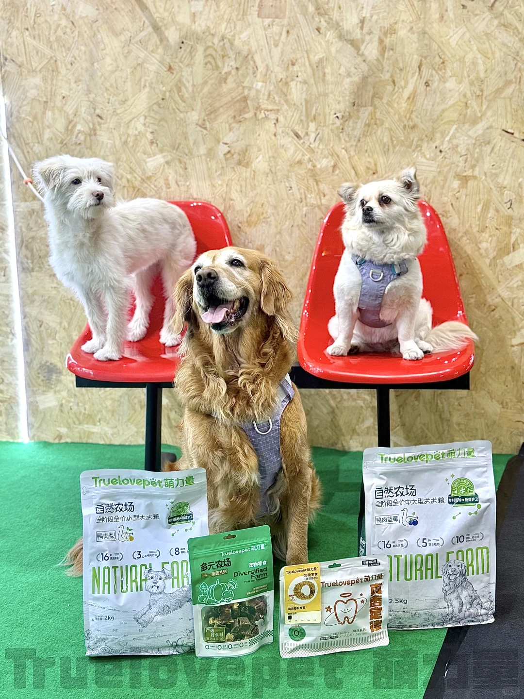 ?展会上的代言汪们！太会营业啦！