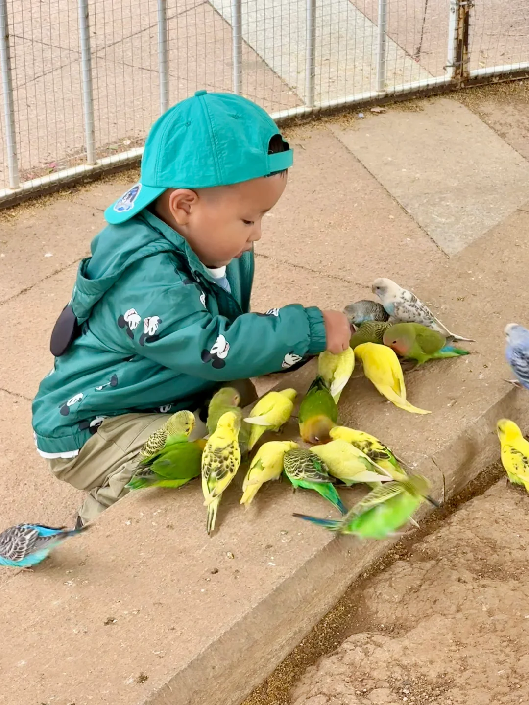 青岛市区！！被严重低估的遛娃圣地???