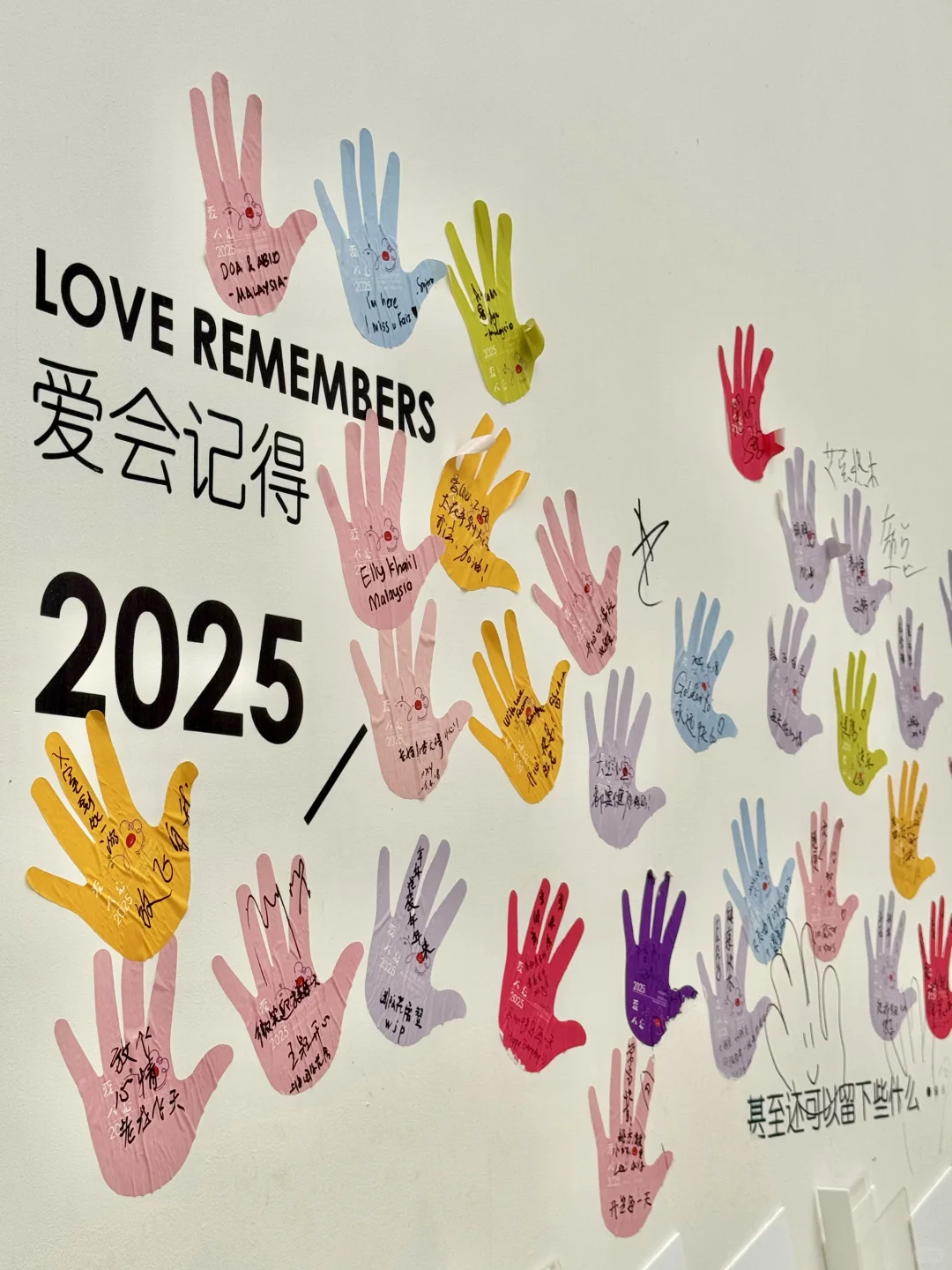 不是莫奈花园❗️是上海国际花展‼️最后❸天冲