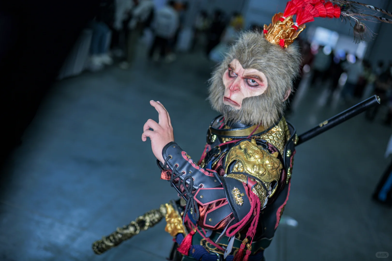 南京国潮文化博览会自由行申请 求赞