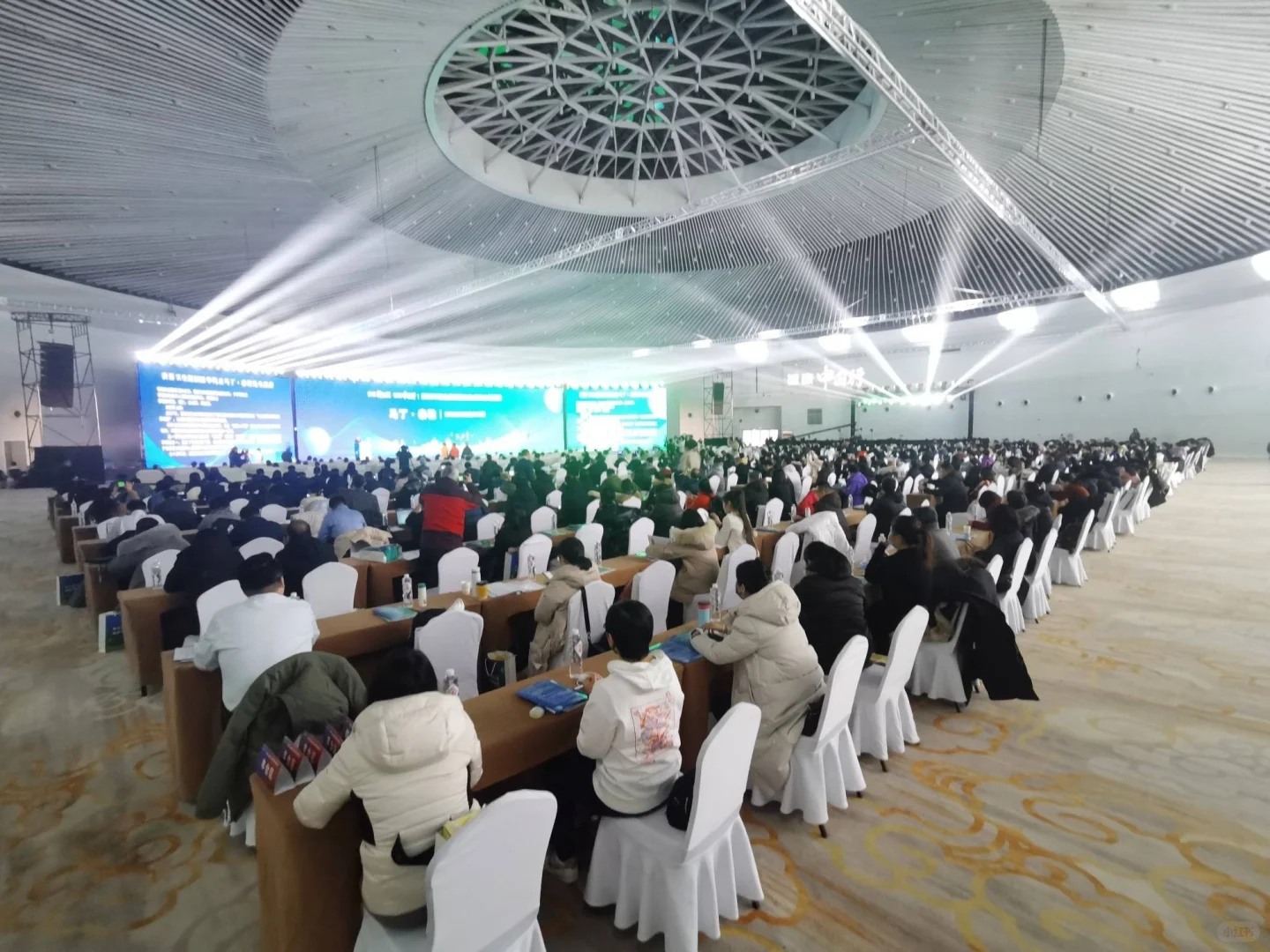 上海礼仪模特公司-展会兼职-展会大学生