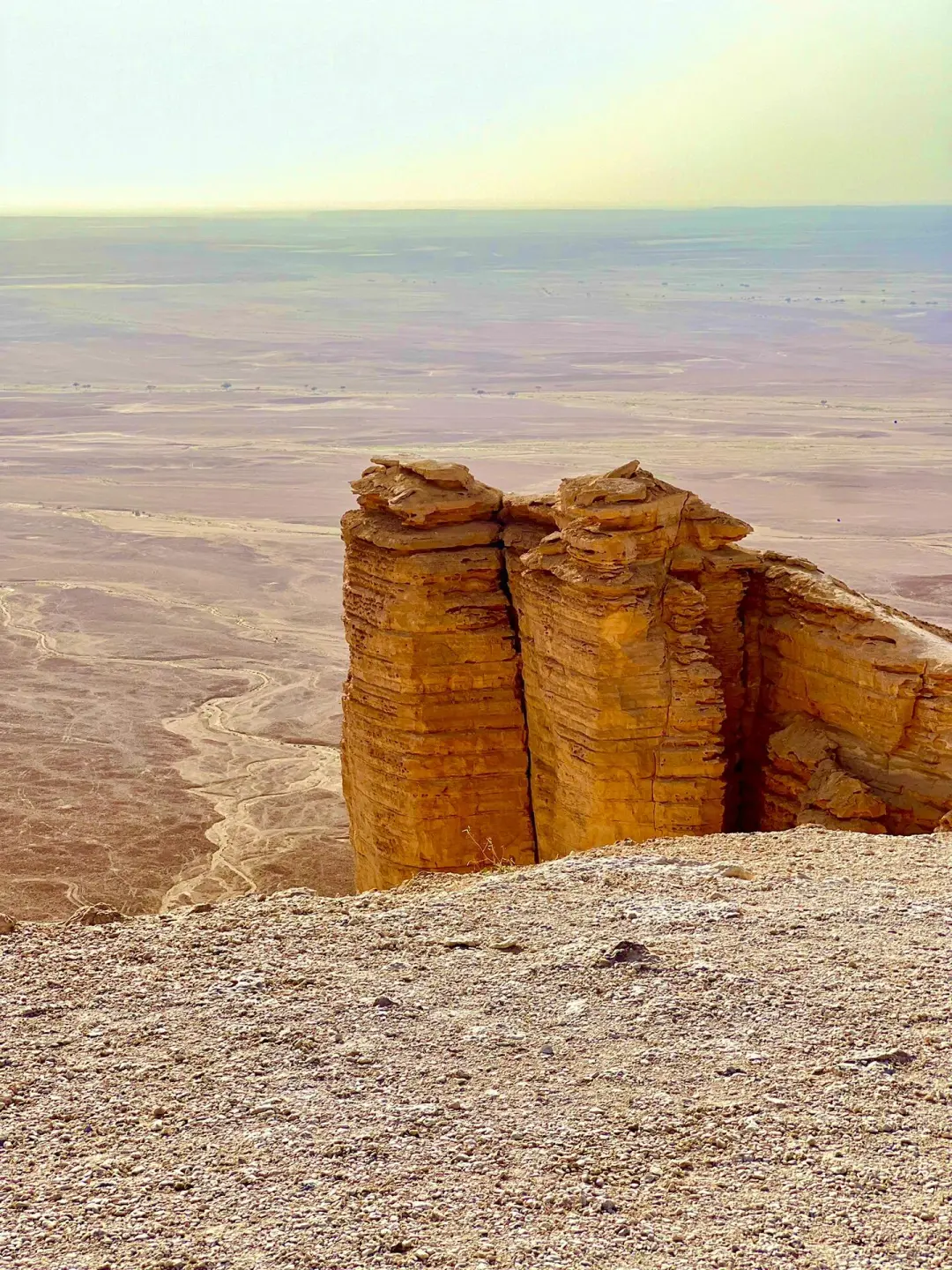 利雅得宝藏民宿 | 展会与机场间的理想住宿