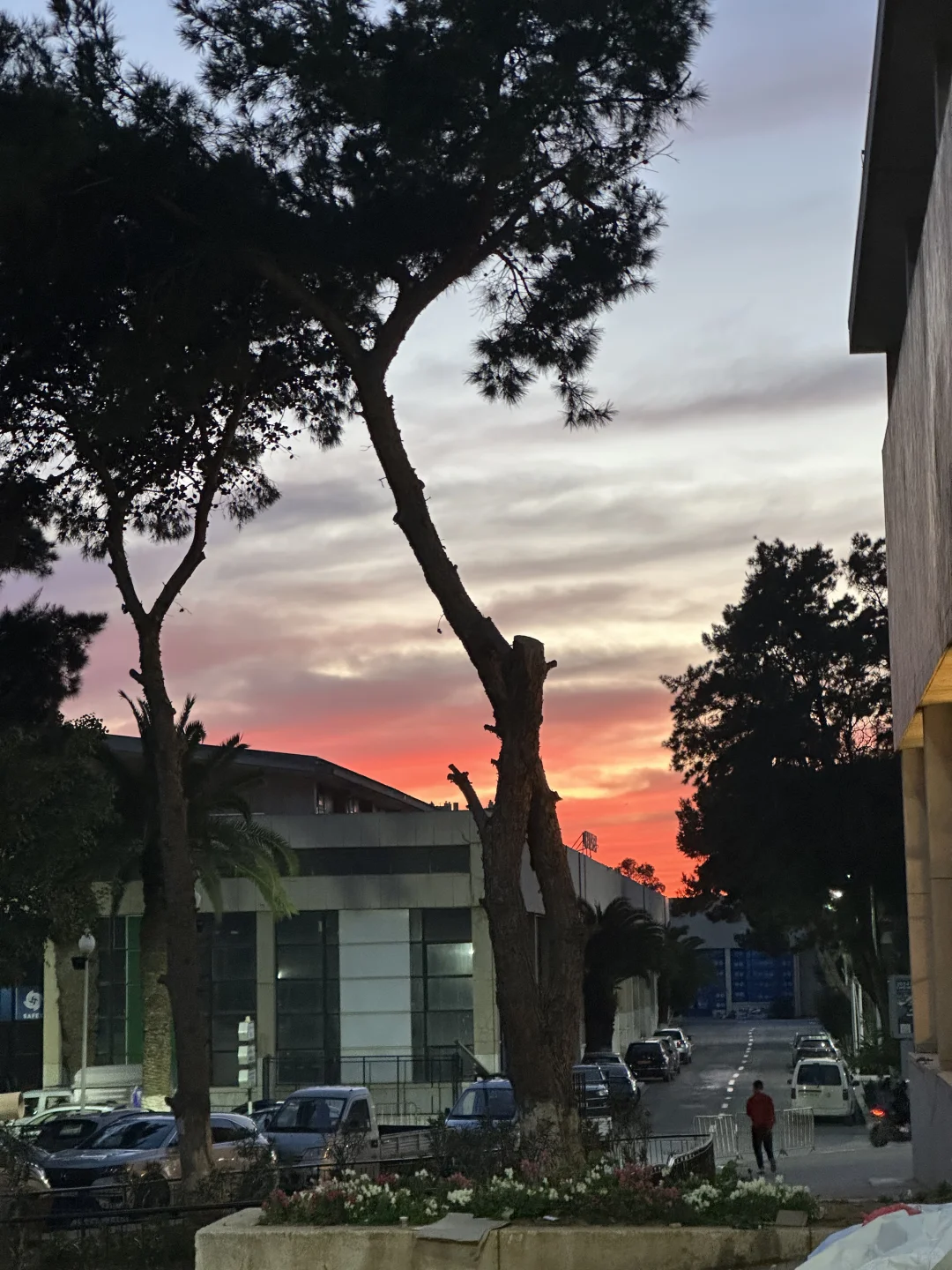 阿尔及利亚展会结束啦