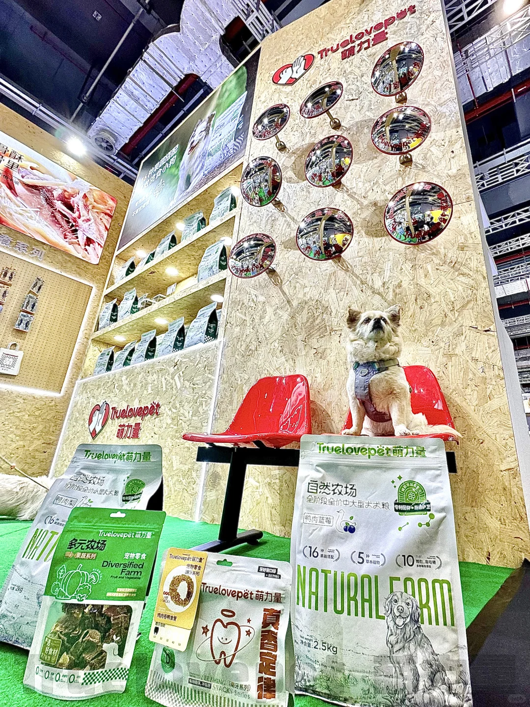 ?展会上的代言汪们！太会营业啦！