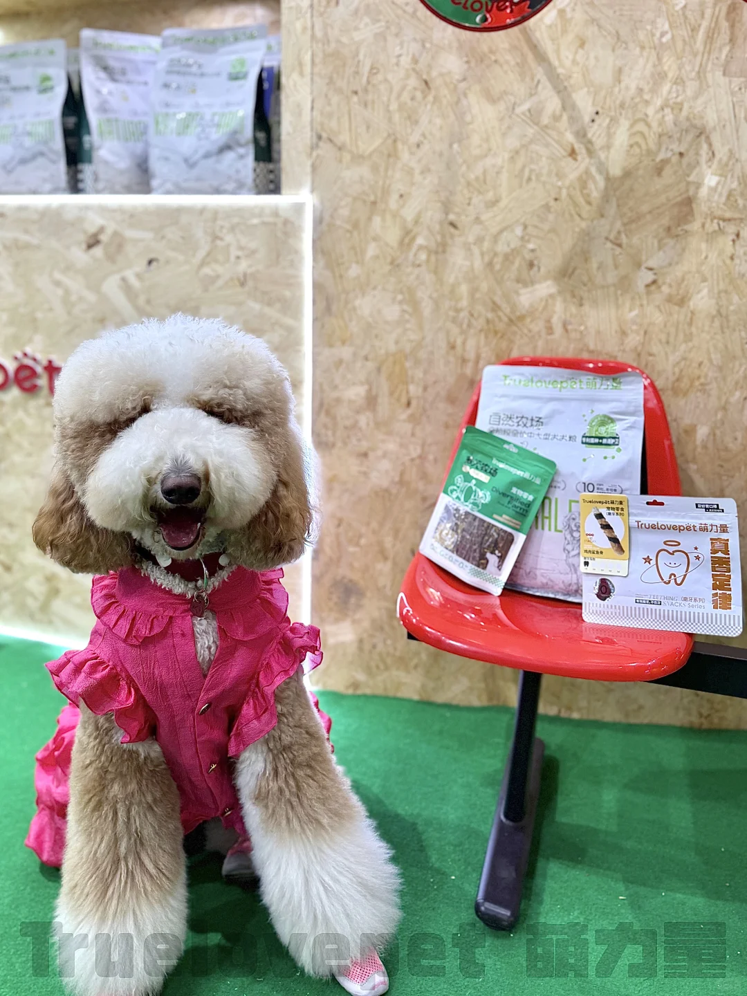 ?展会上的代言汪们！太会营业啦！