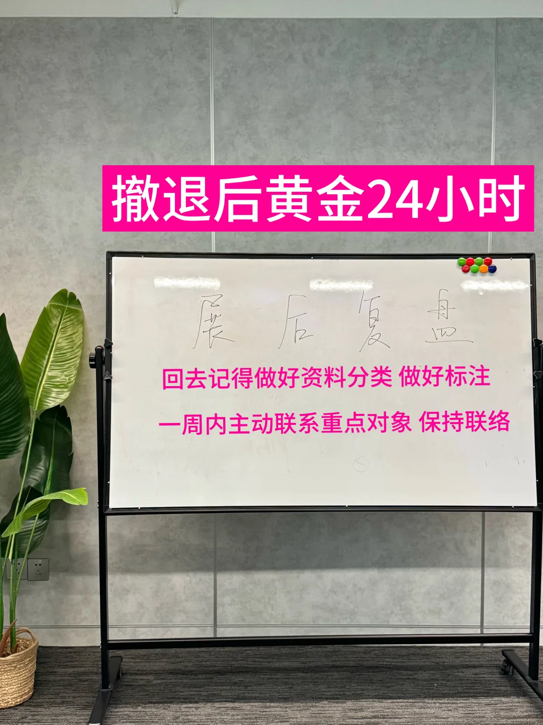 创业小白也能变行家 美博会实用攻略来了！