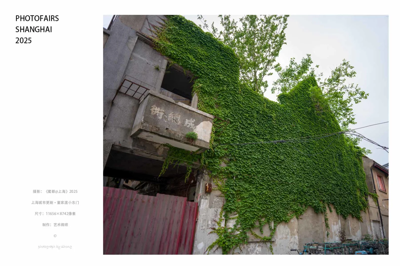 魔都@上海2025丨影像上海