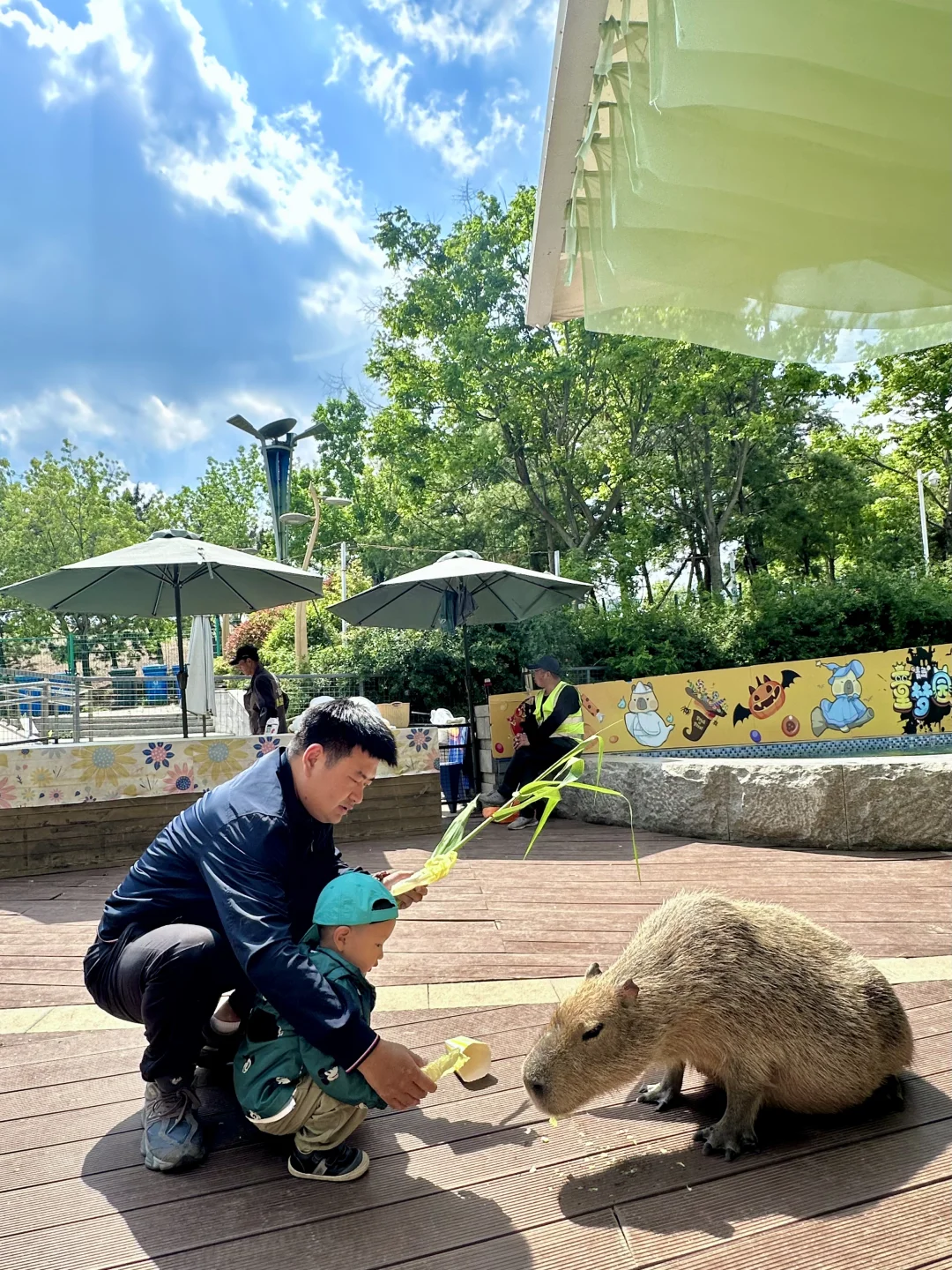 青岛市区！！被严重低估的遛娃圣地???