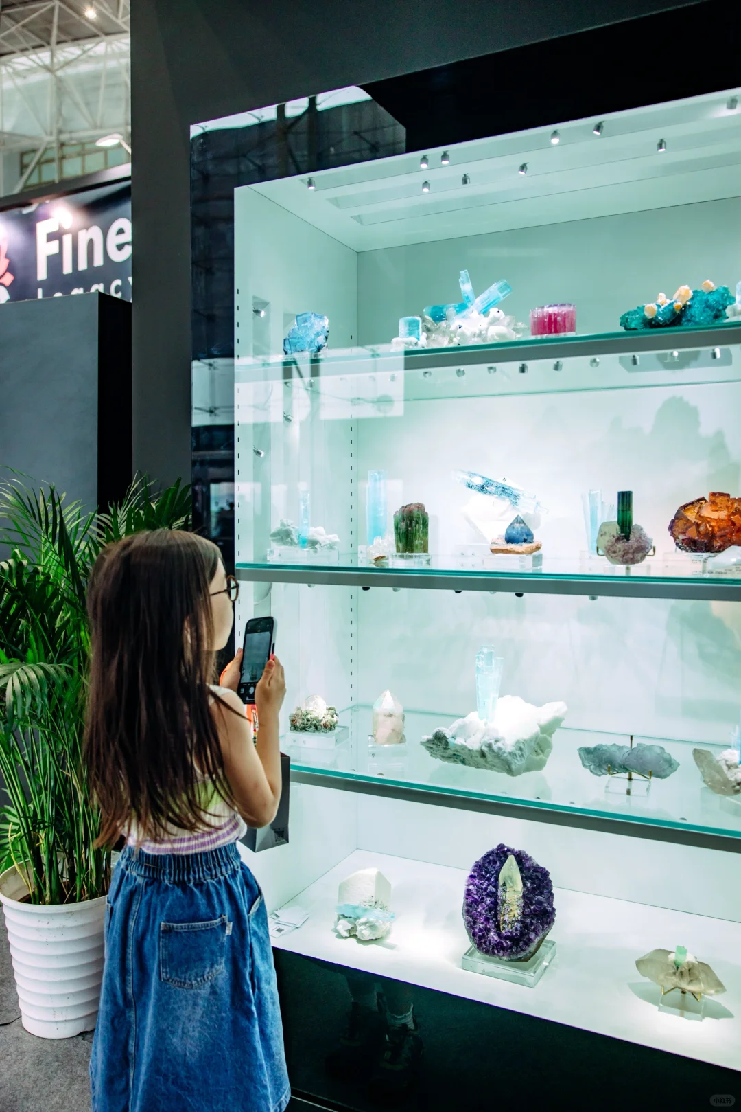 免费挖雨花石❗️南京矿博会带你玩转地质世界