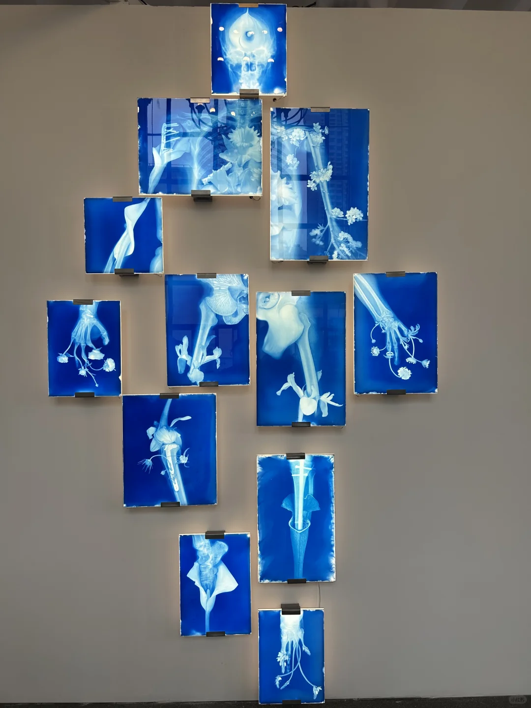 Photofair 首日观展速记