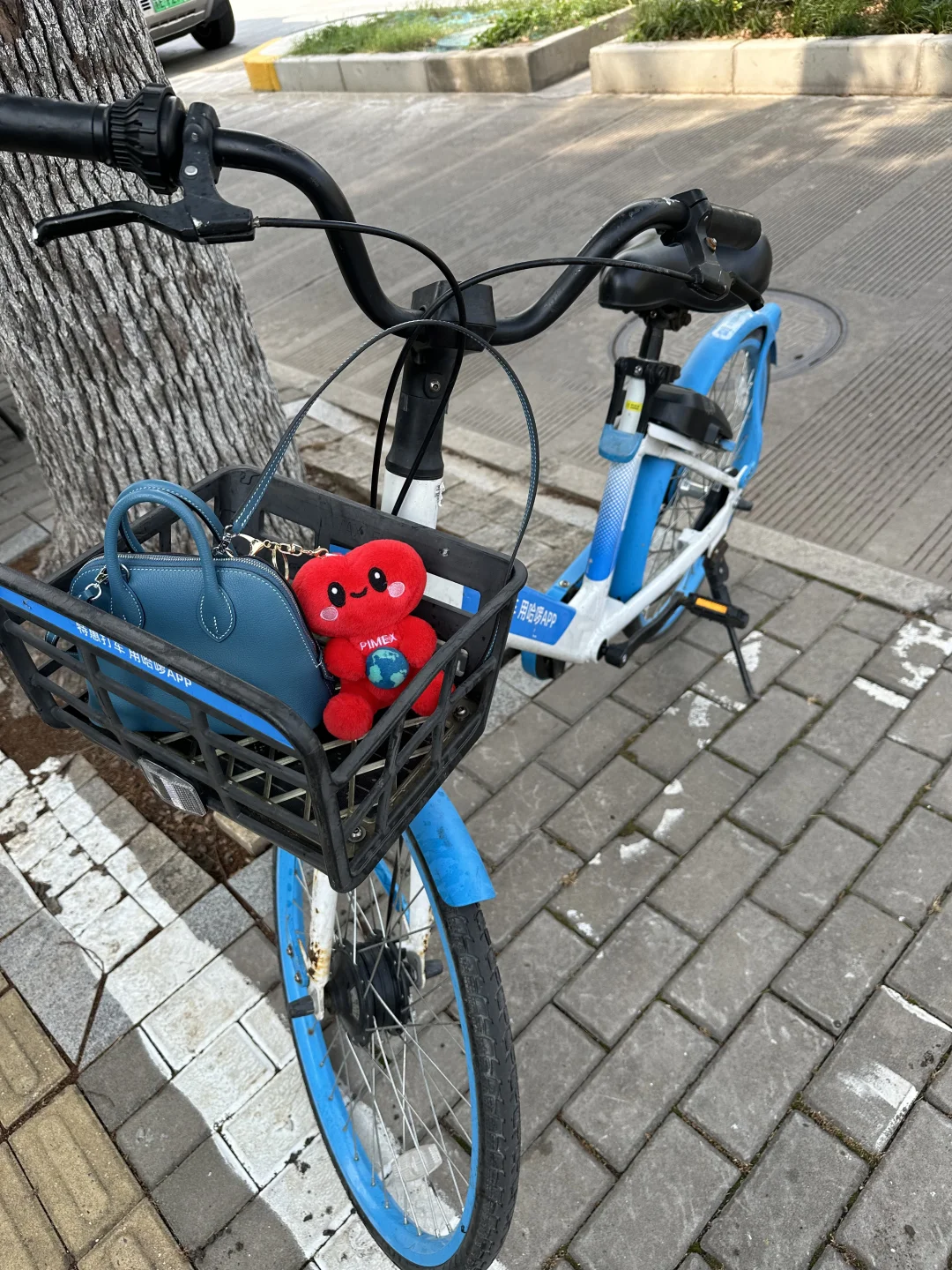 不要错过！这届展会！