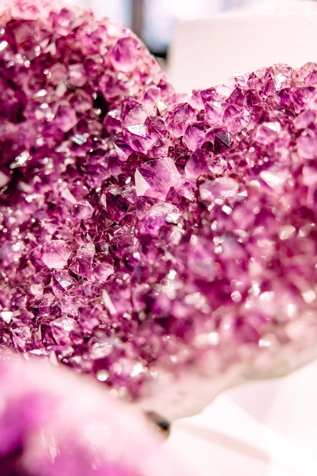 免费挖雨花石❗️南京矿博会带你玩转地质世界