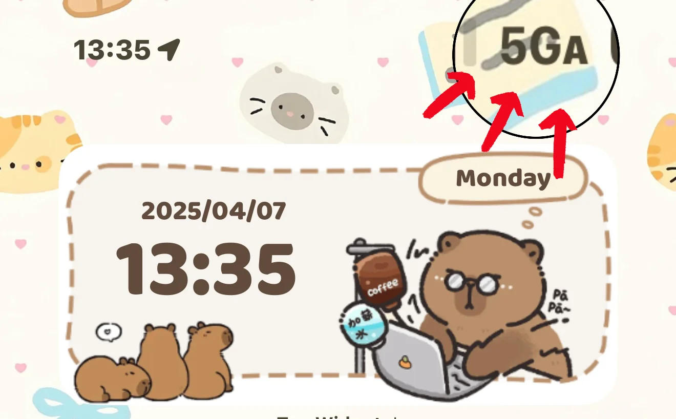 会展片区有5GA啦！