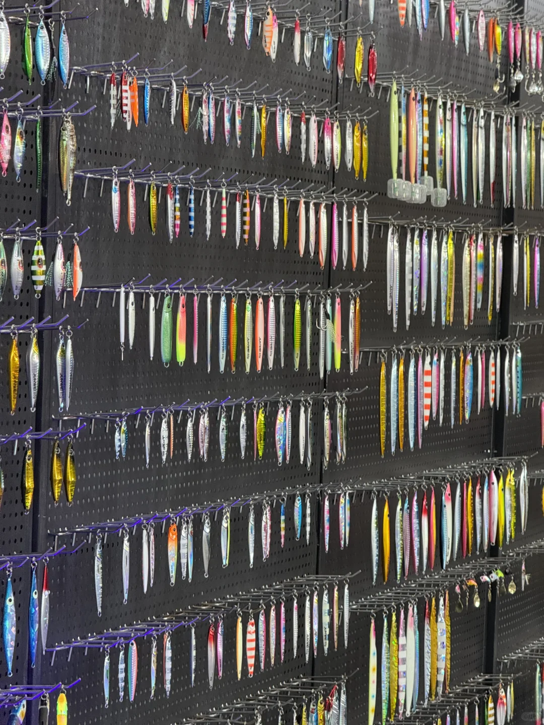 第七届威海休博会