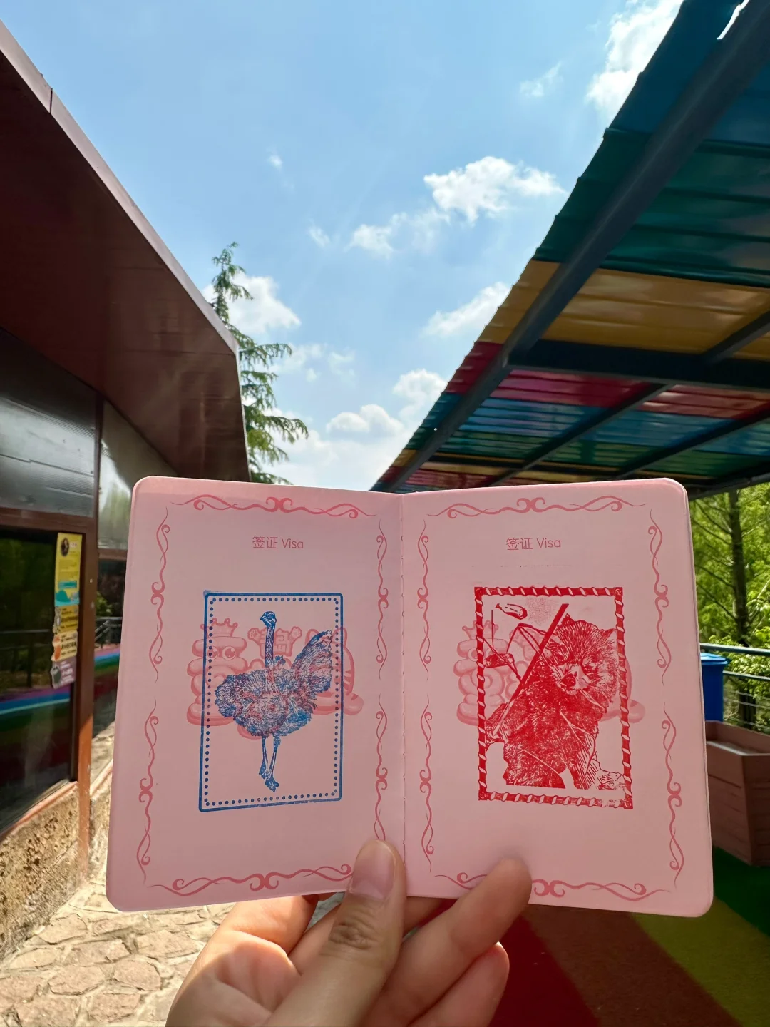 青岛市区！！被严重低估的遛娃圣地???