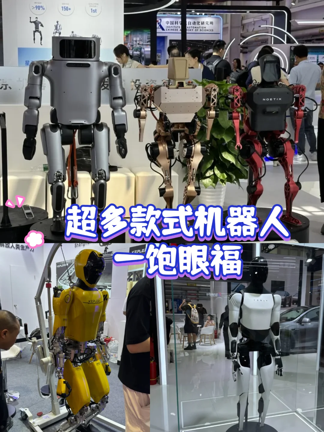 太突然了！北京2025机器人大会来了！