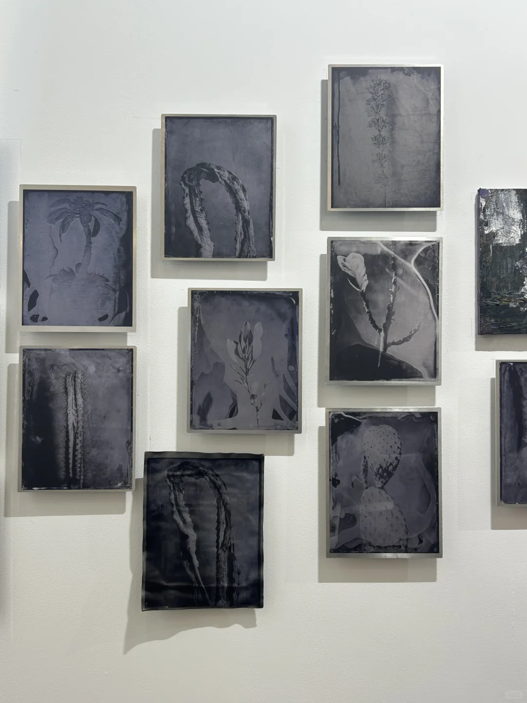 Photofair 首日观展速记