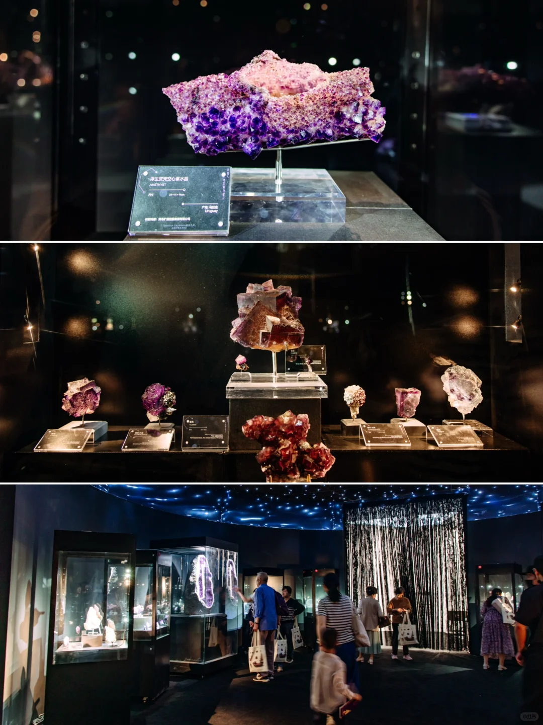 免费挖雨花石❗️南京矿博会带你玩转地质世界