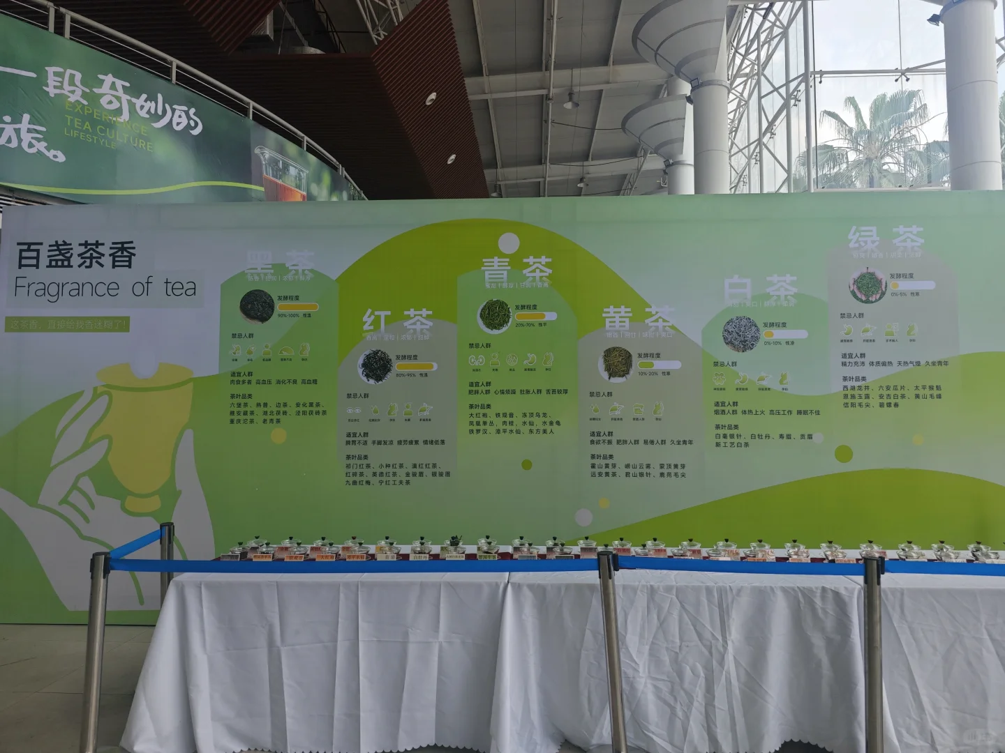 ?打卡 | 2025年第二十七届茶业博览会