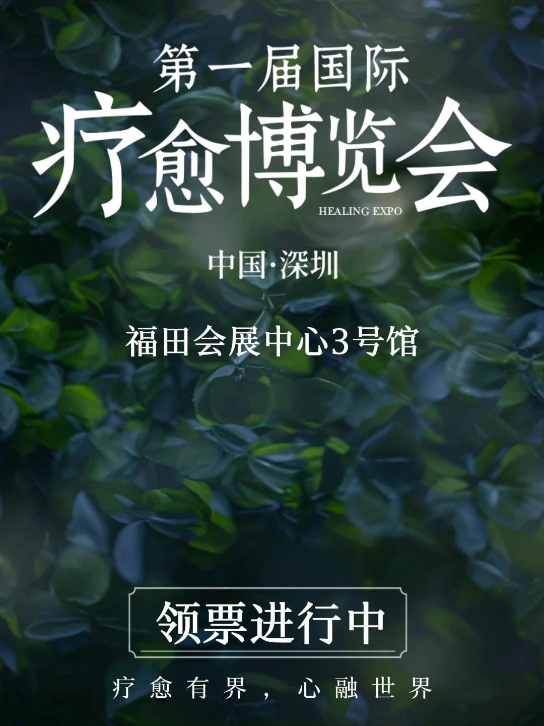 深圳国际疗愈博览会有要参加的宝子吗？