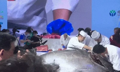 2025深圳国际渔业博览会即将开幕！