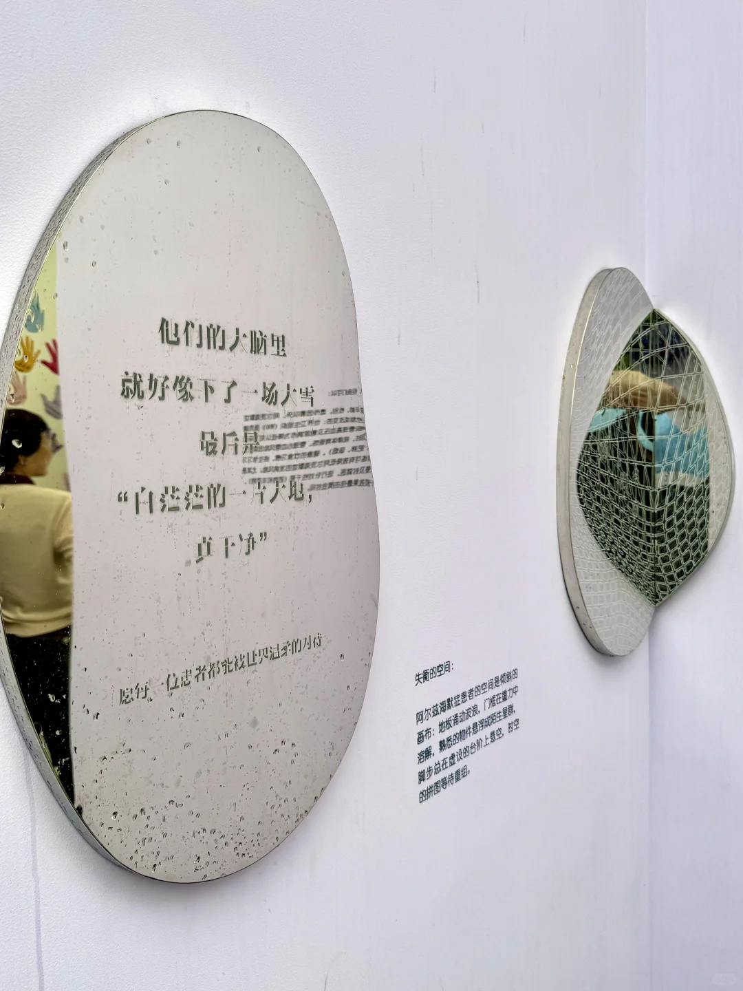 不是莫奈花园❗️是上海国际花展‼️最后❸天冲