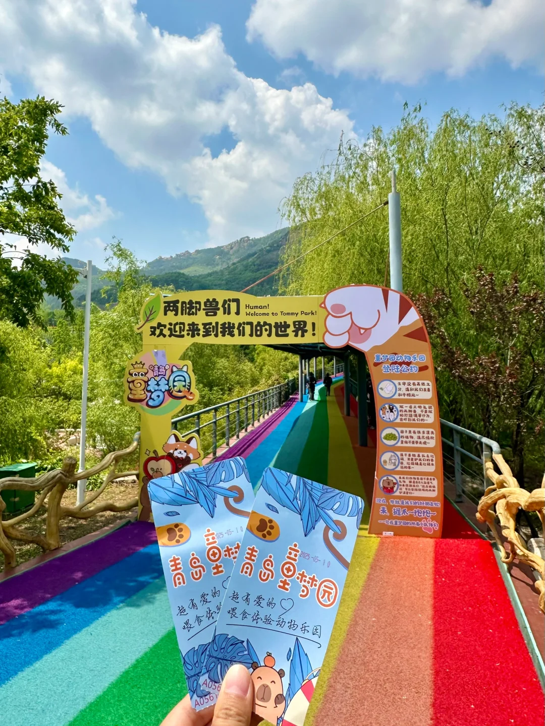 青岛市区！！被严重低估的遛娃圣地???