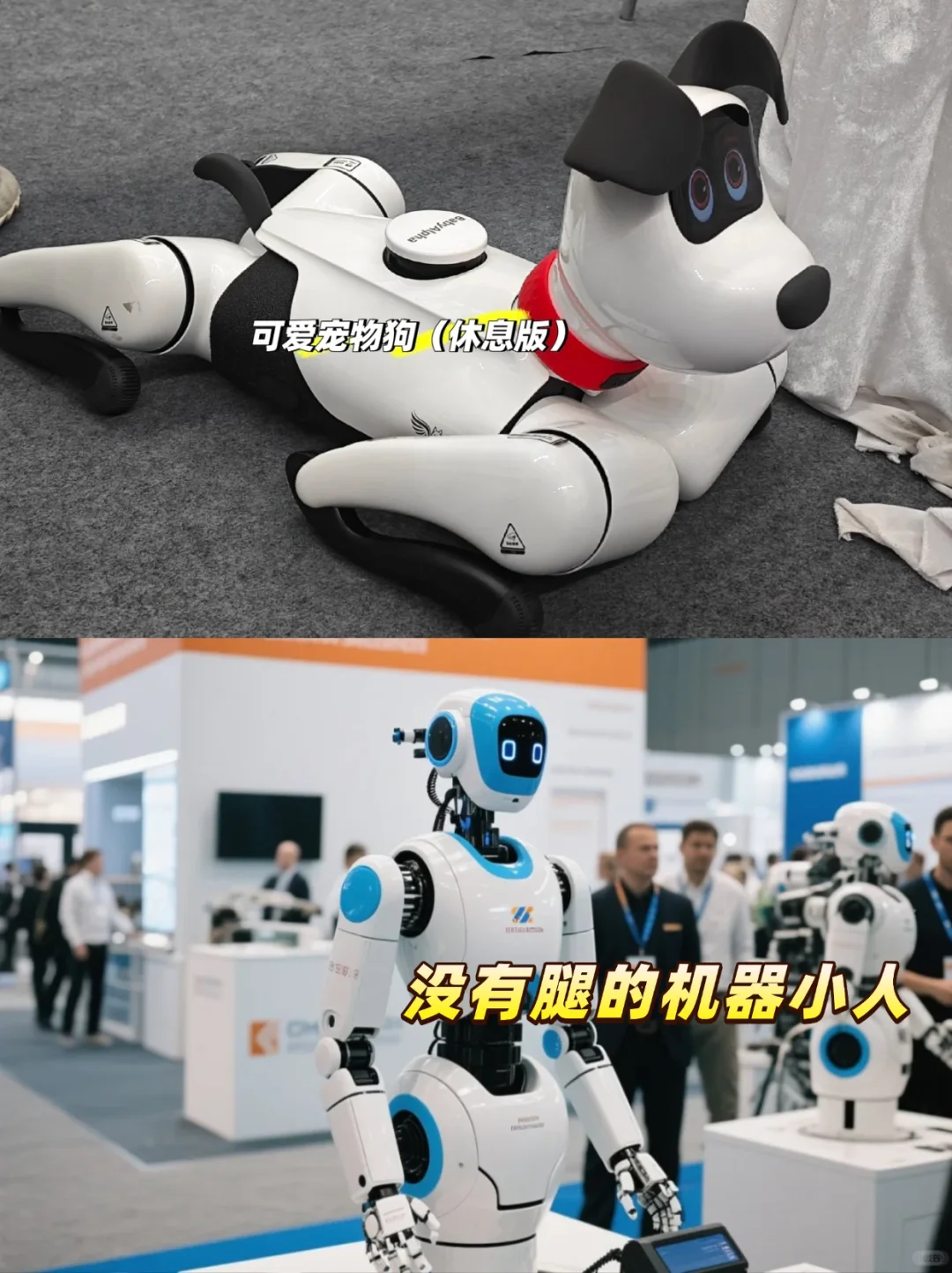 2025广州国际智能机器人展来啦！?