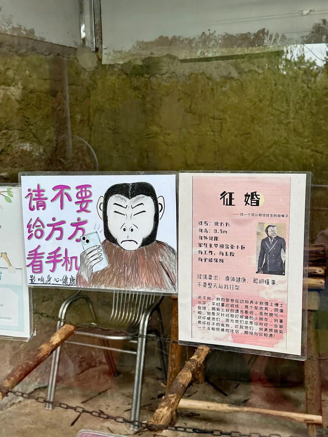 青岛市区！！被严重低估的遛娃圣地???