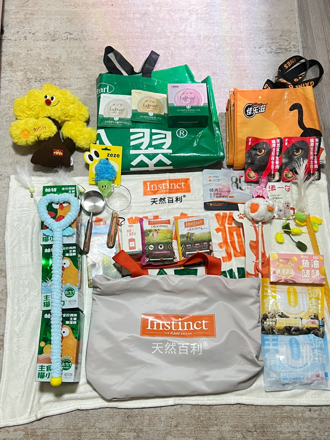 普通养猫人的它博会