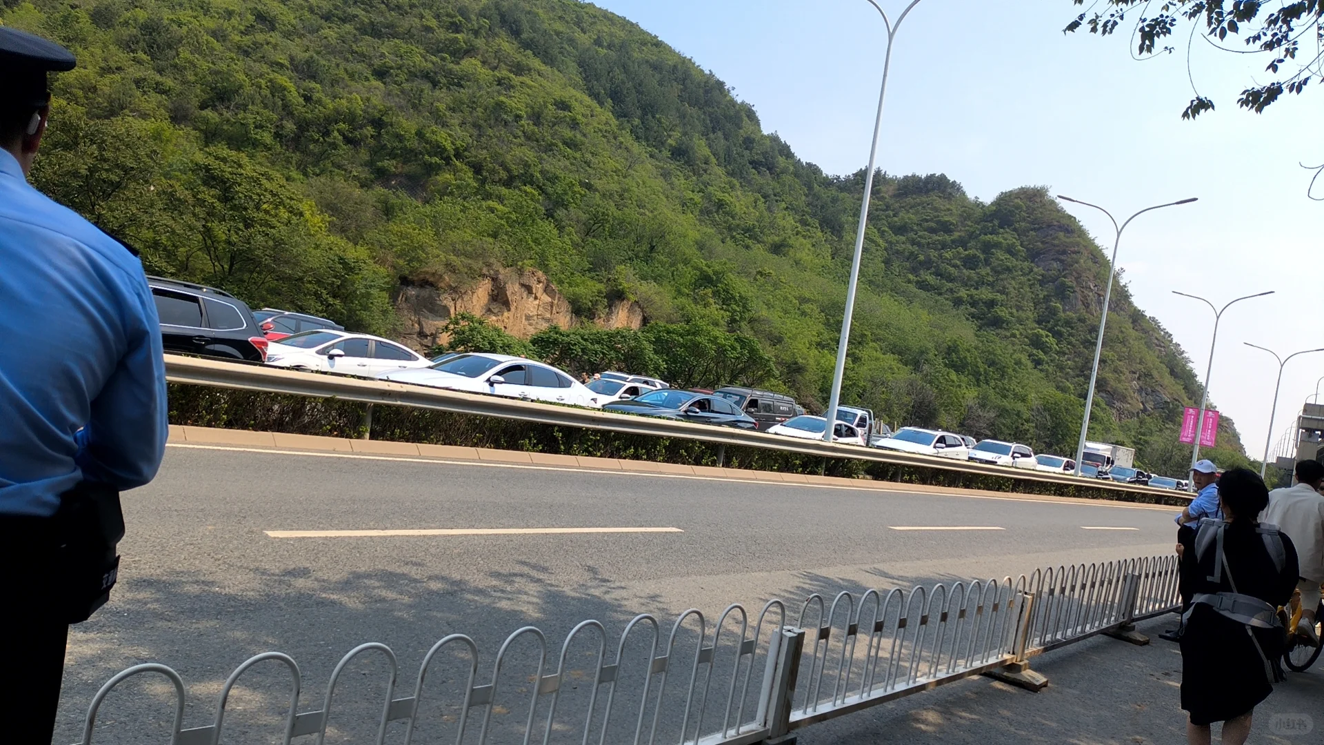 国际月季大会 北京门头沟 详细游览记录