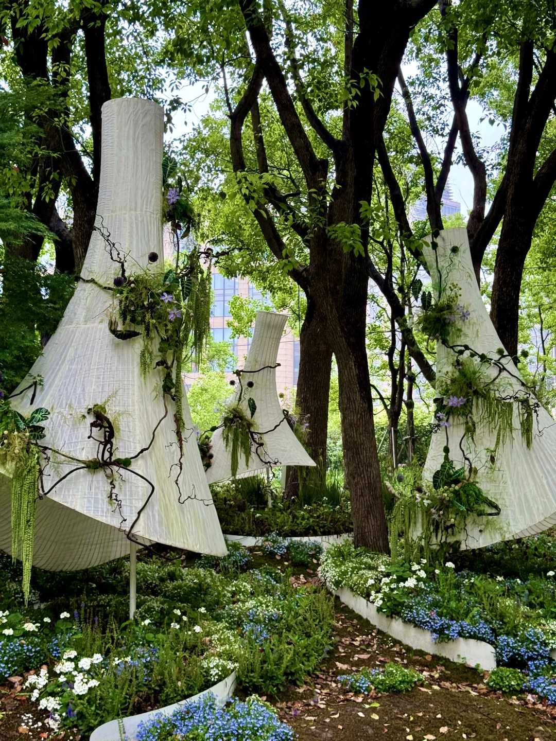 不是莫奈花园❗️是上海国际花展‼️最后❸天冲