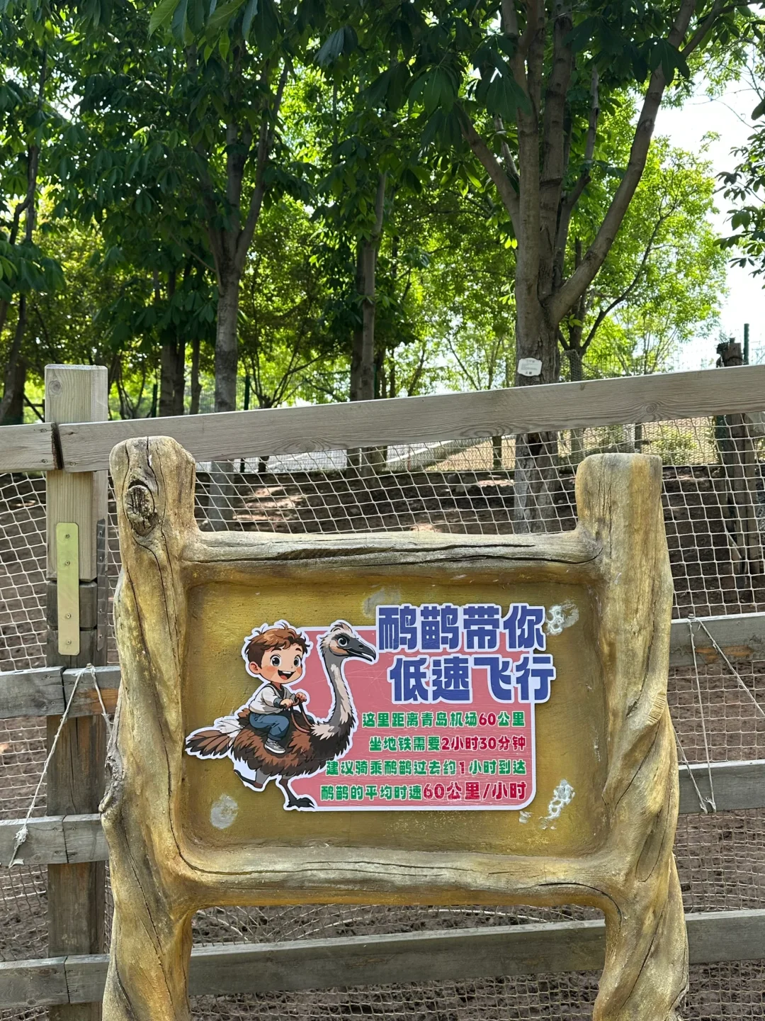 青岛市区！！被严重低估的遛娃圣地???