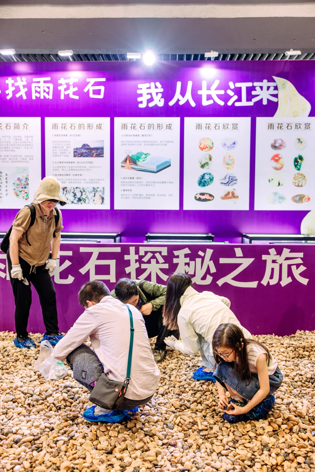 免费挖雨花石❗️南京矿博会带你玩转地质世界