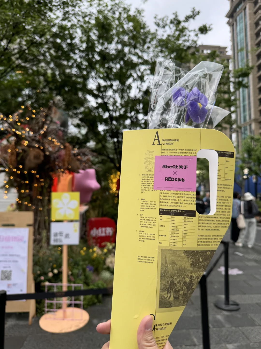 不是莫奈花园❗️是上海国际花展‼️最后❸天冲