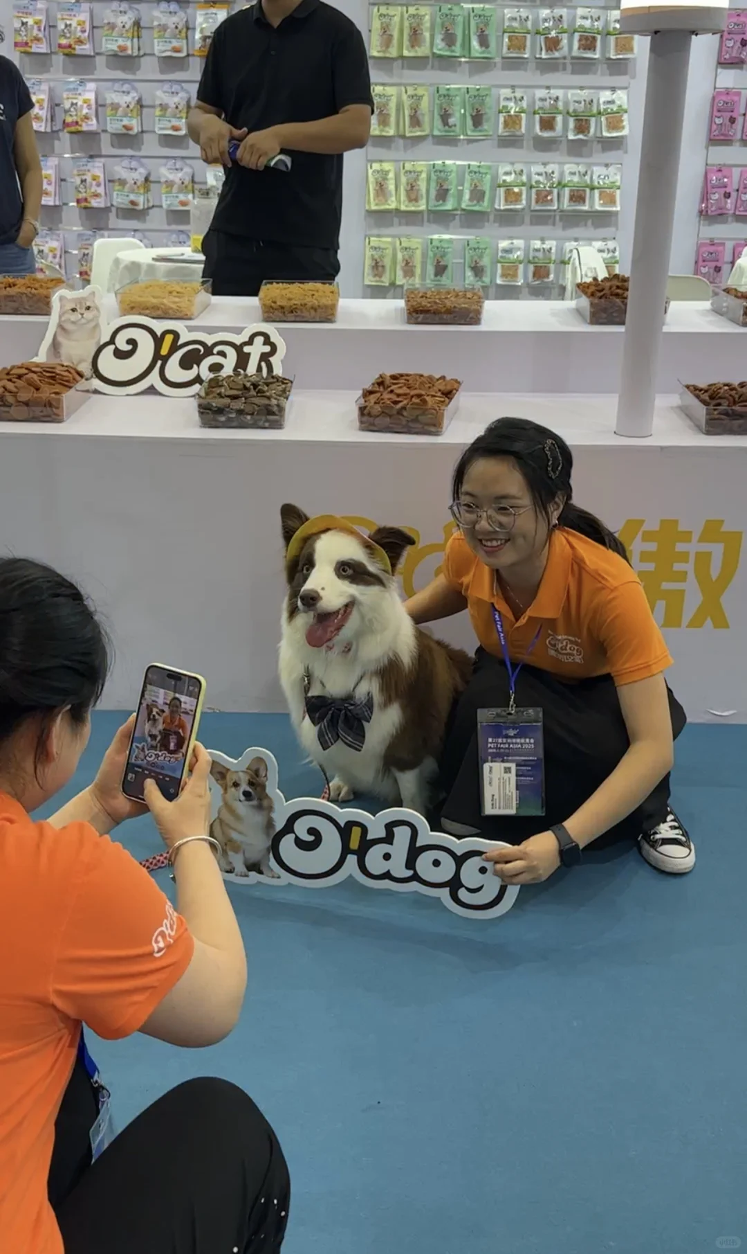 免费送票！2025杭州世宠会门票宠粉0元购！！