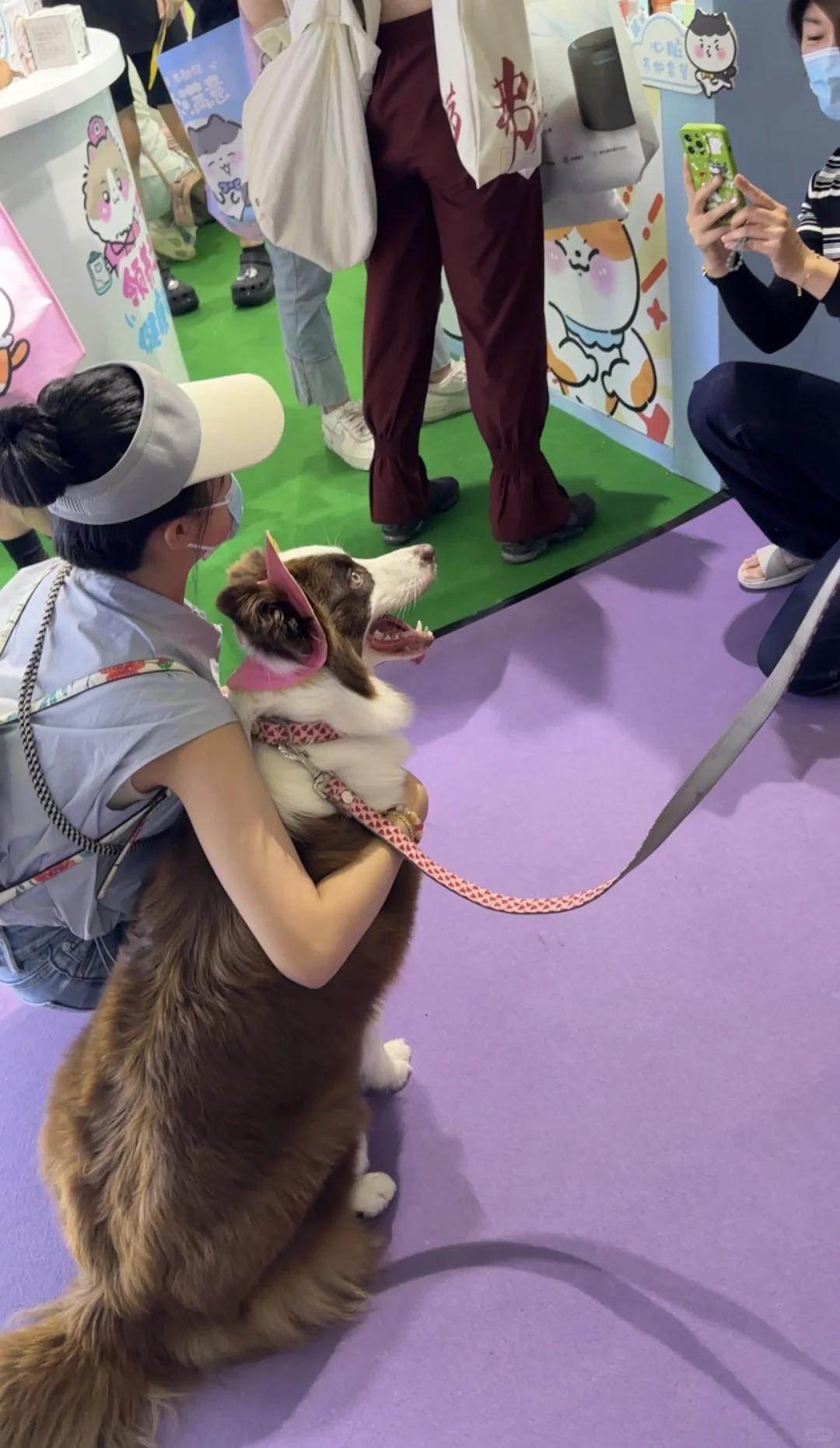 免费送票！2025杭州世宠会门票宠粉0元购！！