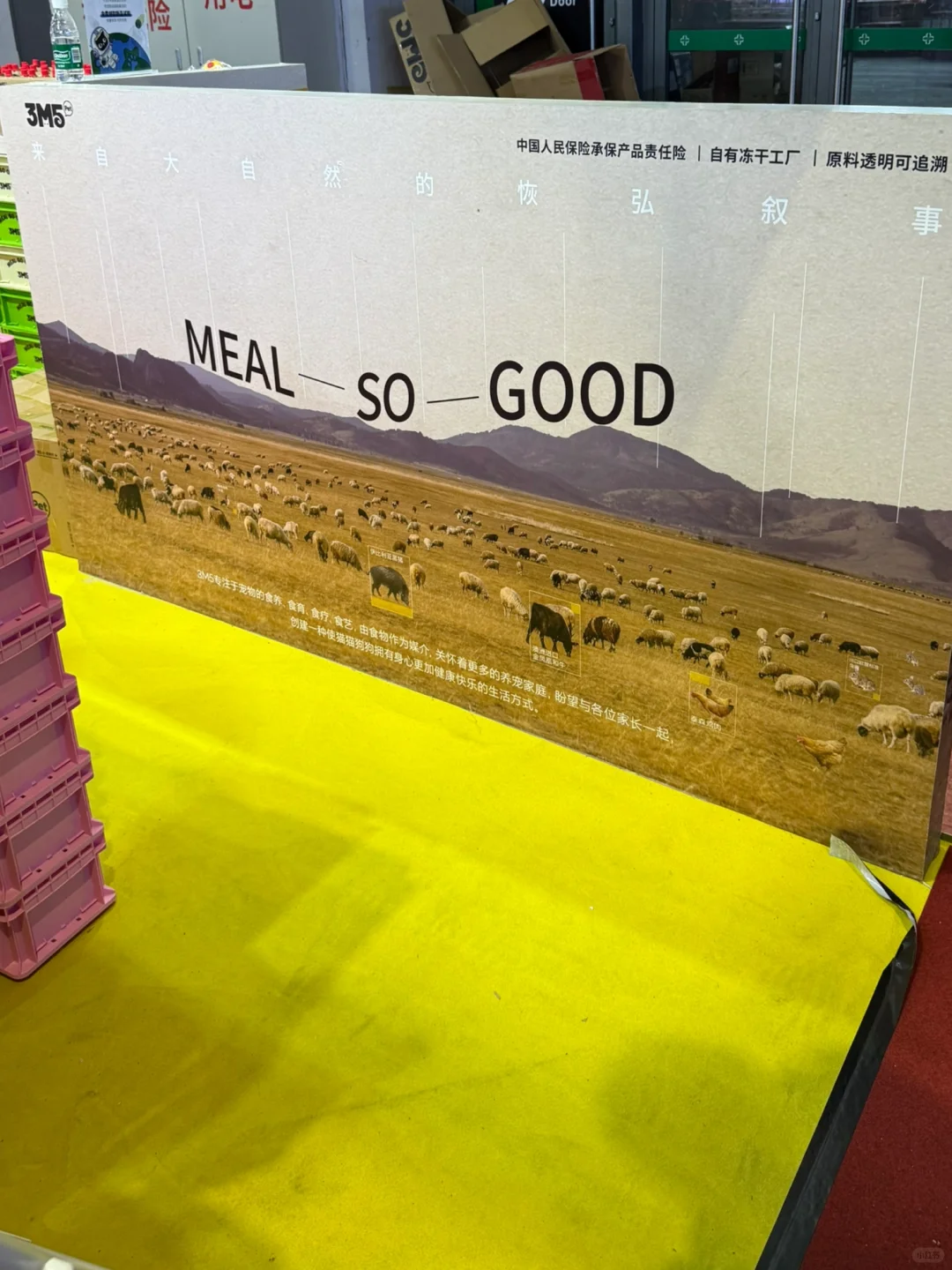 不是宠物创业者也值得看：2025它博会复盘