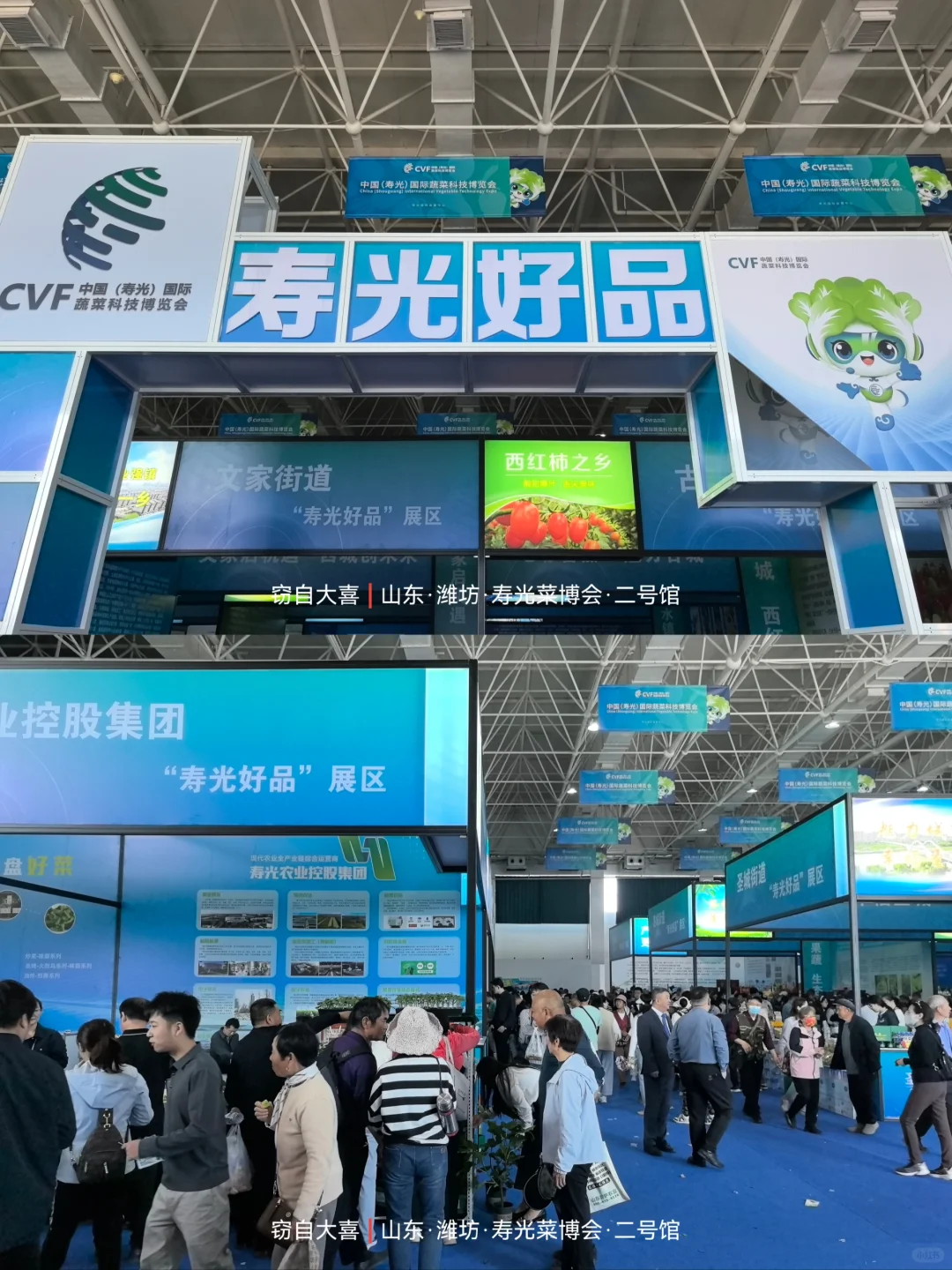 寿光菜博会首日完全打卡?攻略来了