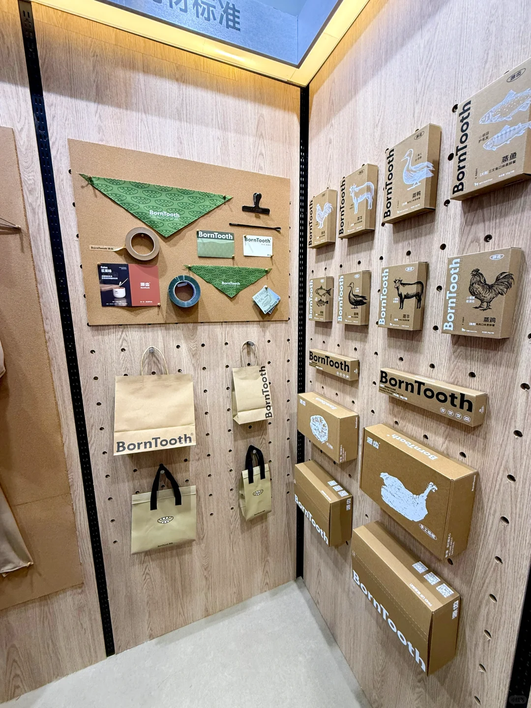 不是宠物创业者也值得看：2025它博会复盘