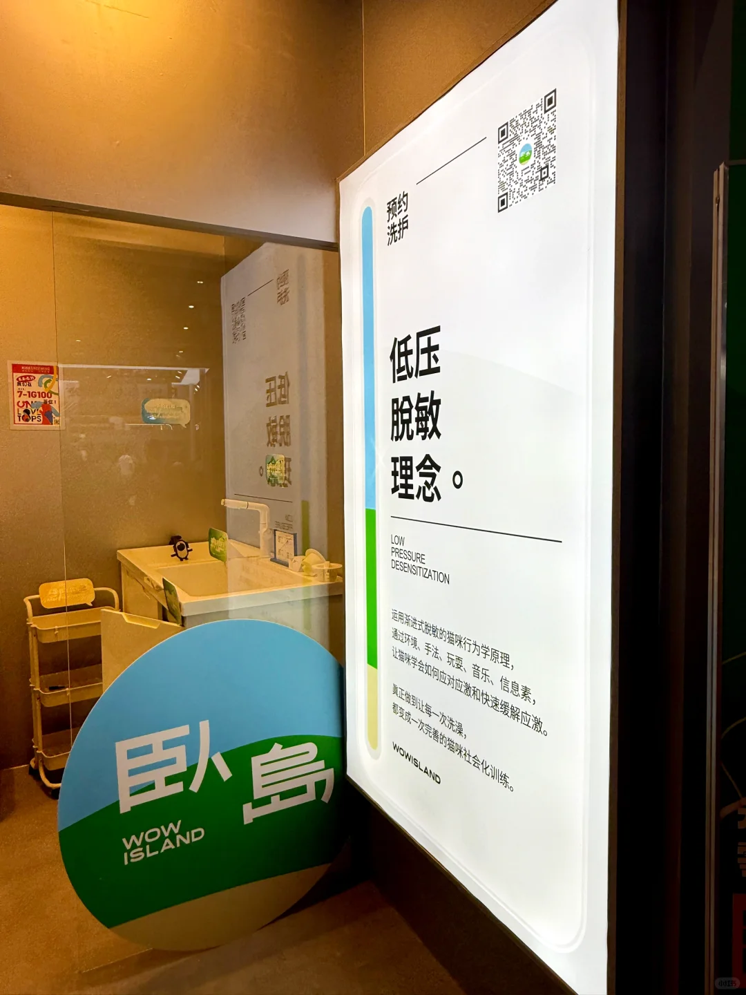 不是宠物创业者也值得看：2025它博会复盘