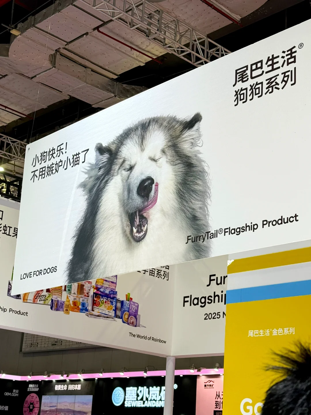 不是宠物创业者也值得看：2025它博会复盘