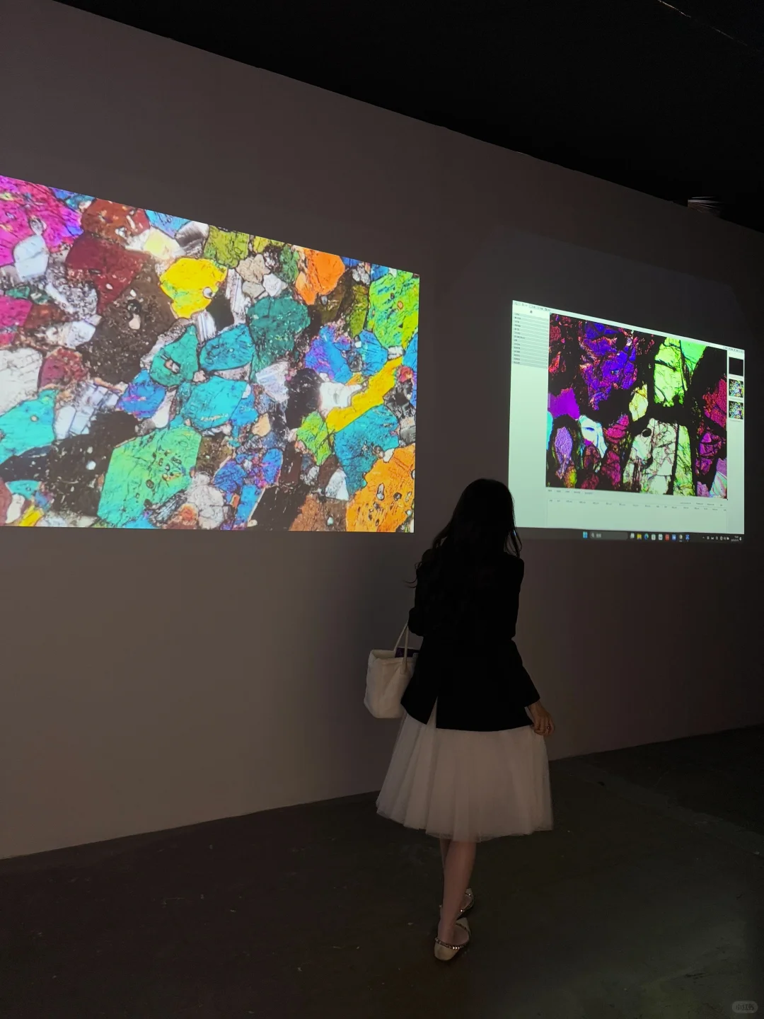 来?紫气东来！南京近期最热门的矿物博览会