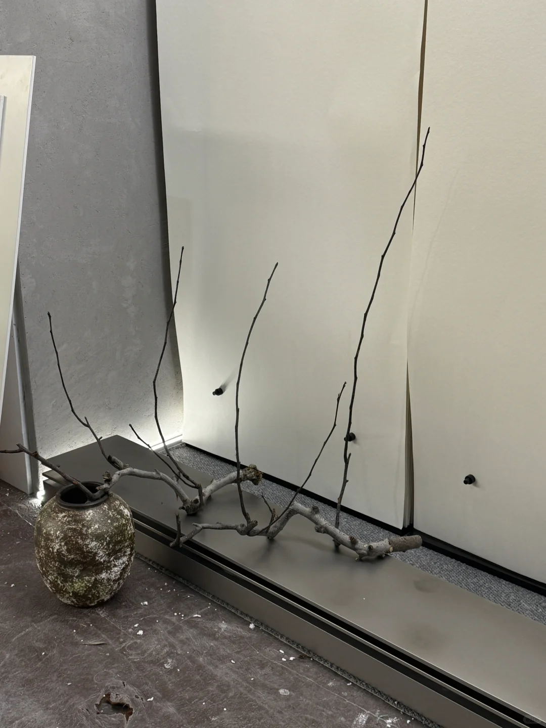 这次，我们又被围观了！