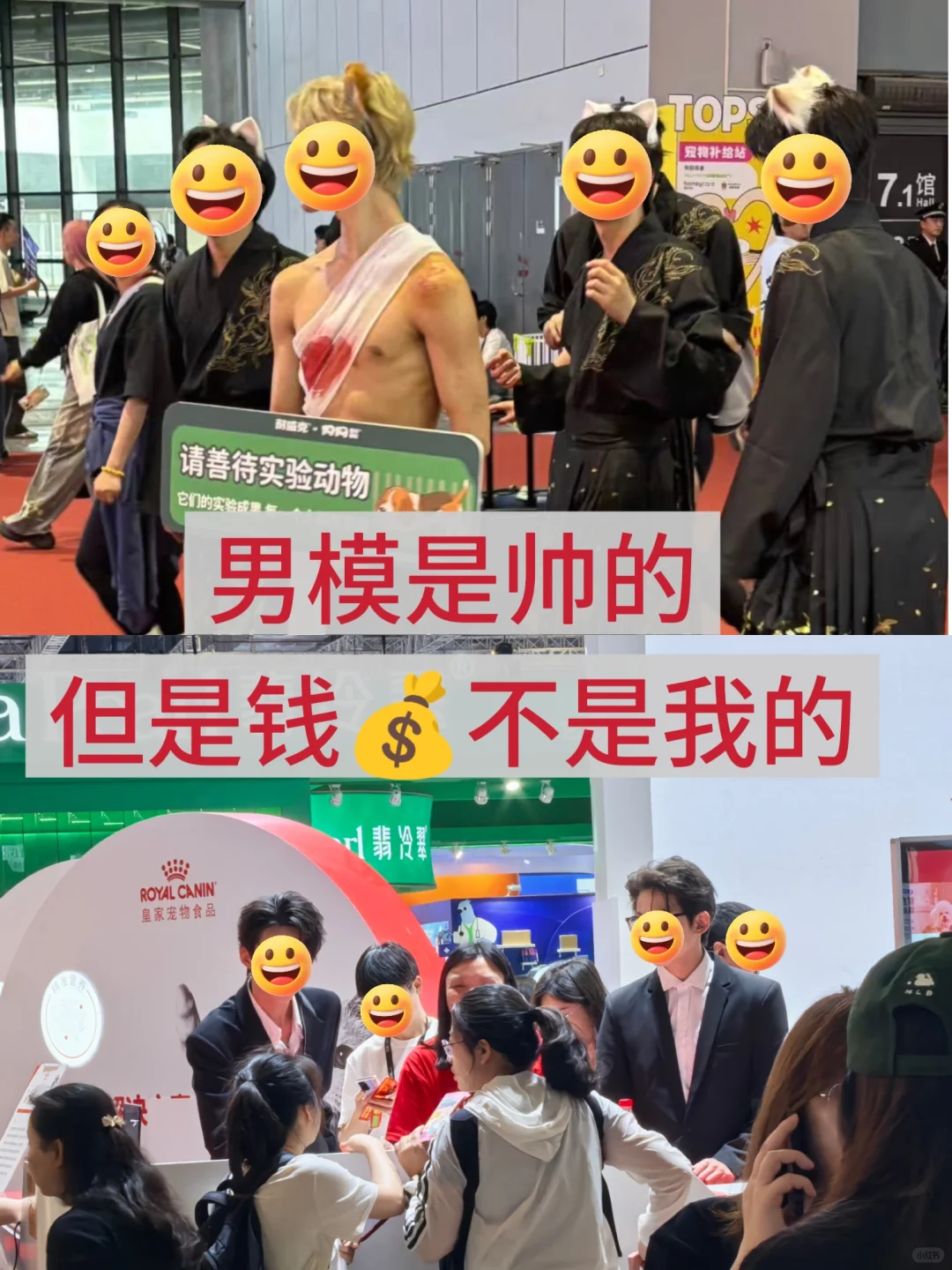 它博会球球别再避雷打工人了