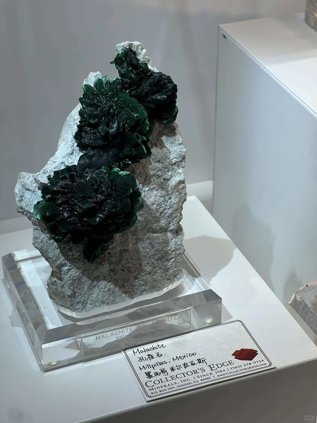 2025中國南京(國際)礦物寶石化石博覽會⑴