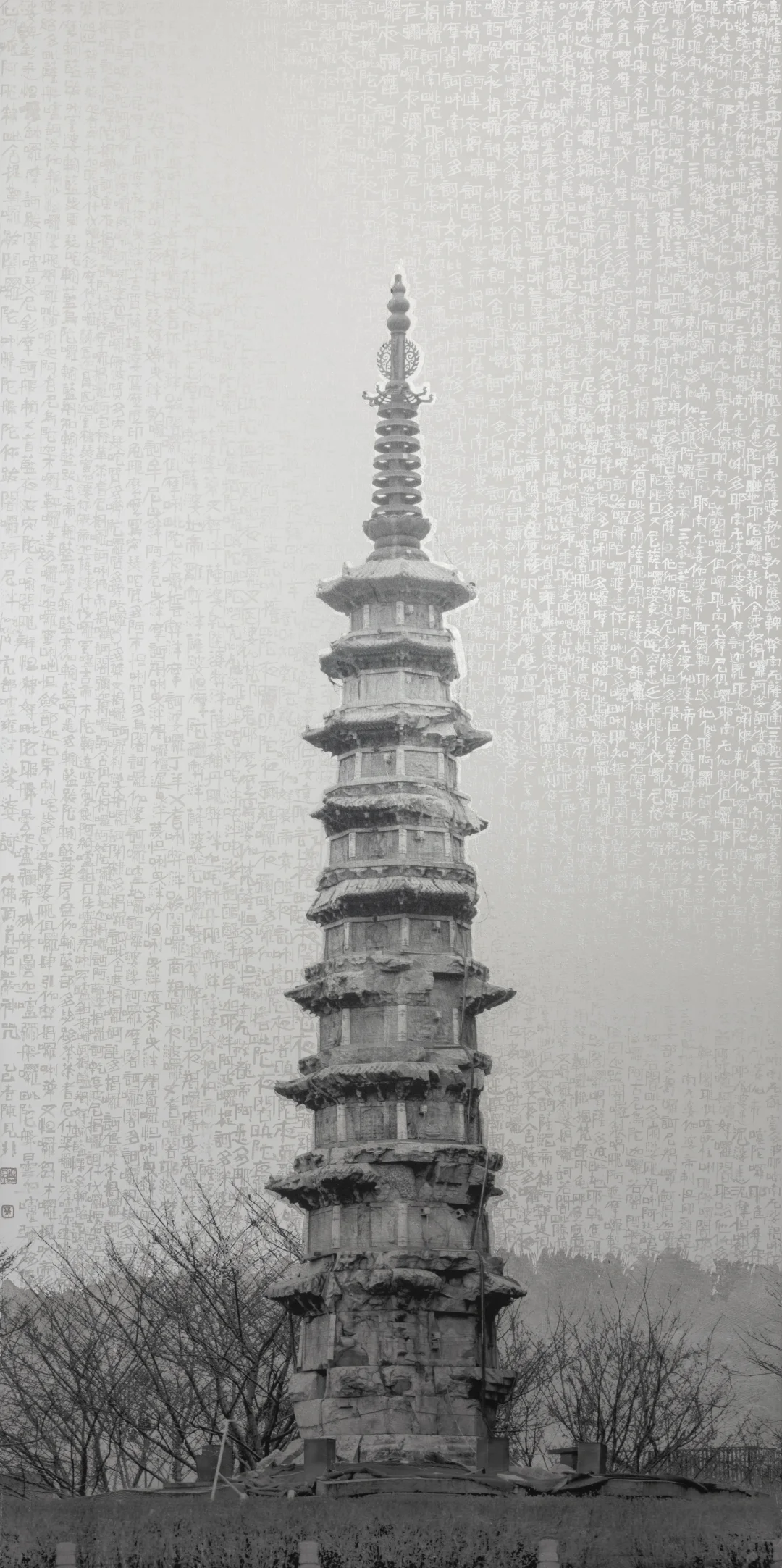 作品在影像上海艺术博览会