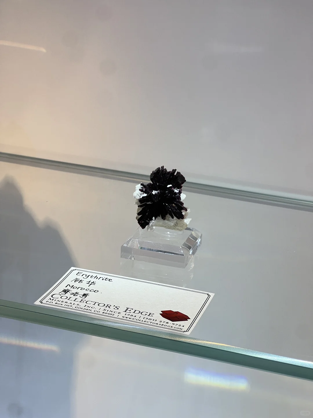 2025中國南京(國際)礦物寶石化石博覽會⑴