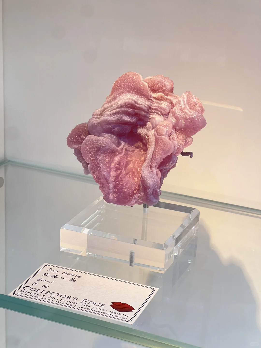 2025中國南京(國際)礦物寶石化石博覽會⑴